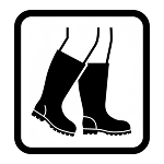 Kondodys