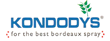 Kondodys