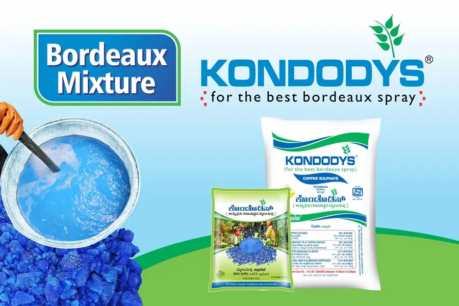 Kondodys